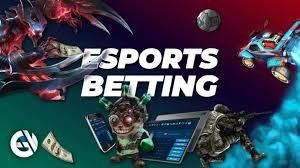 dg casino