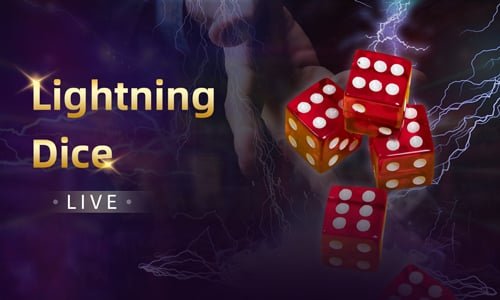 dg casino